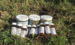 1629435986290981.png image.png