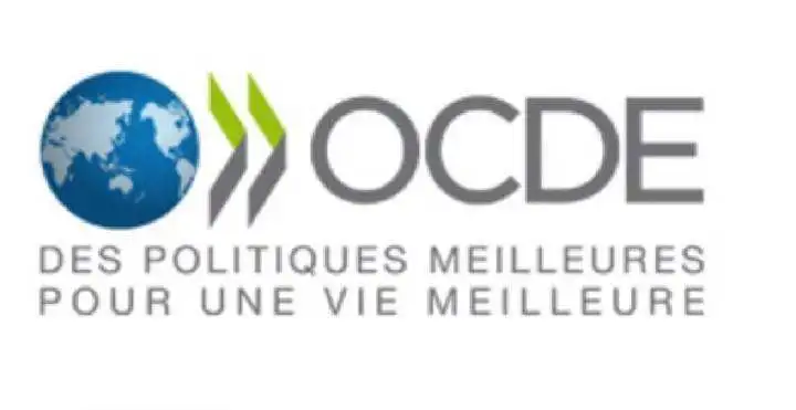 1716772825425255.jpg 5.jpg